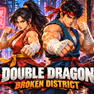 Double Dragon: Broken District
